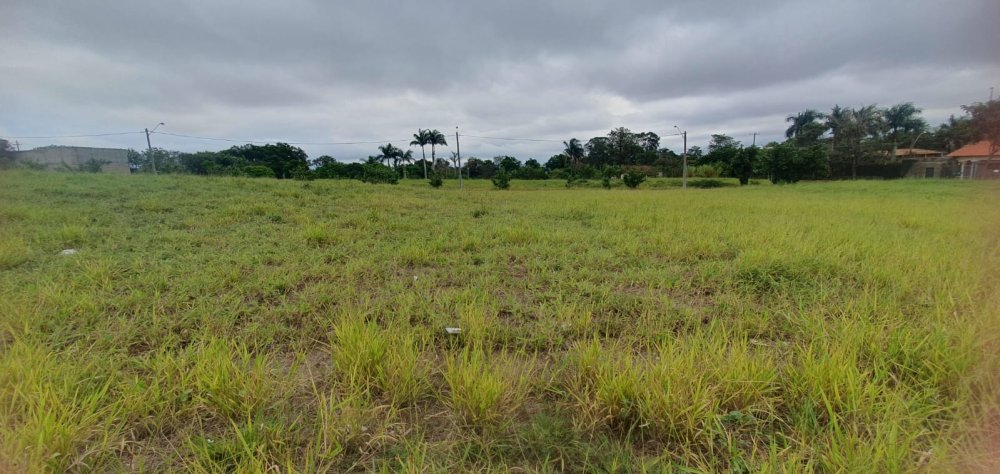 Terreno - Venda - Campestre - Piracicaba - SP